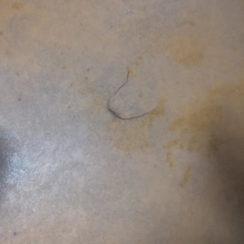 Semerkand Kültür Merkezi Havuzunda Temizlik, Hijyen Ve Üyelik İptali Sorunları