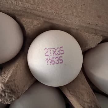 Gezen Tavuk Diye Aldığım Yumurtadan Kümes Yumurtası Çıktı, Mağdur Edildim