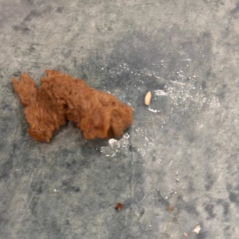 Dondurulmuş Dana Dönerden Kemik Parçası Çıktı