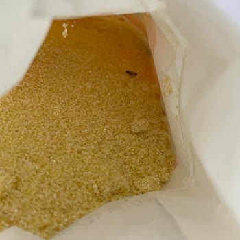 Aldığım İrmik Paketlerinde Güve Çıktı, Sağlığımız Risk Altında