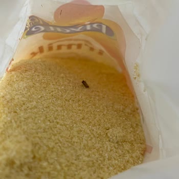 Aldığım İrmik Paketlerinde Güve Çıktı, Sağlığımız Risk Altında