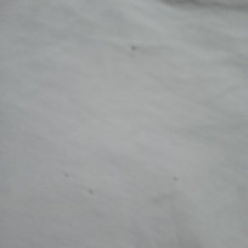 Bosch Çamaşır Makinesi Kıyafetlerimi Yırtıyor, Servis Sorunu Çözmüyor