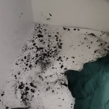 Yetkili Servis Hatasıyla Evimi Su Bastı, Parkelerim Ve Dolabım Zarar Gördü