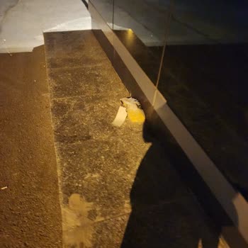 Kurye Yemeği Yere Bıraktı, Hijyen Ve İlgisizlik Sorunu Yaşadım