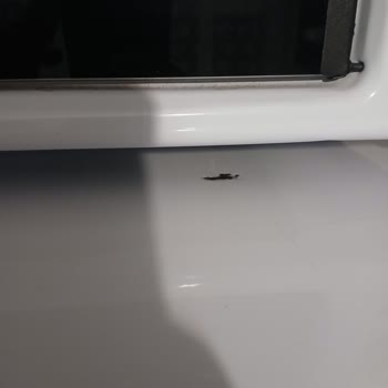 Karataş Evden Eve Nakliyat Ev Taşıma Hizmetinde Yaşanan Zararlar