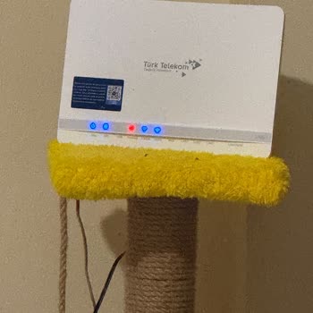 Sürekli Kopan İnternet, İlgisiz Hizmet: TTNET Mağduriyetim