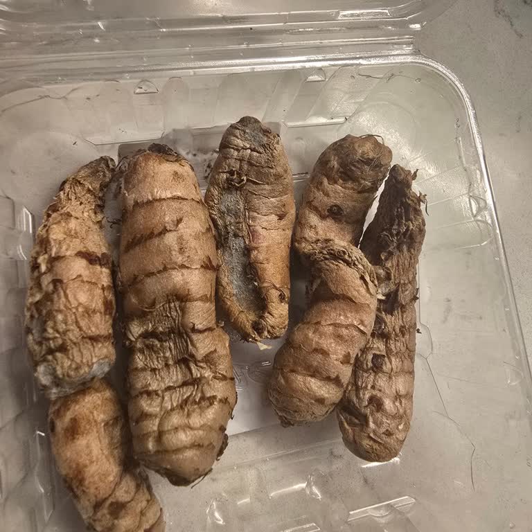 Küflü Zerdeçal İçin İade Veya Değişim Talebim Reddedildi