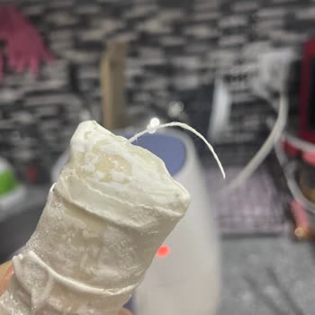 Dondurulmuş Börekten Çıkan Kalın Beyaz İp Hijyen Endişesi Yarattı