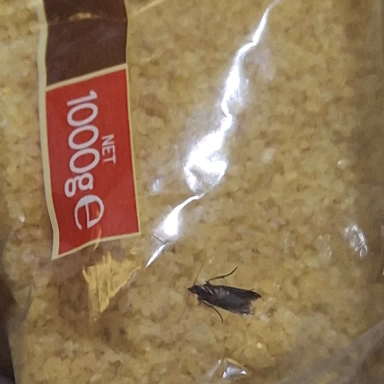 Kapalı Ambalajda Güvelenmiş Bulgur Ve Marketin Fiş Şartı Mağduriyeti