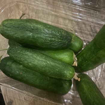 İndirimli Ürün Teslimatında Sorun Yaşadım