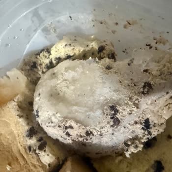 Aldığım Dondurma Buzlu Ve Kötü Tatlı Çıktı, Ücret İadesi İstiyorum