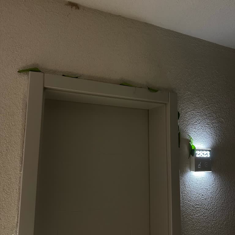 Otel Odasında Karınca Ve Kertenkele Sorunu Yaşadık