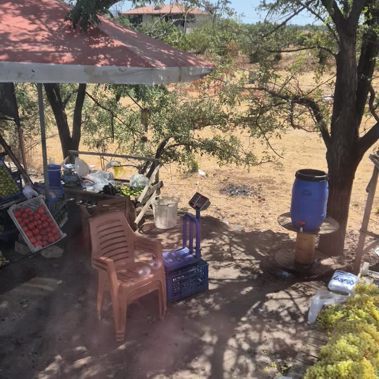 Otobüs Gecikmesi, Hijyen Eksikliği Ve Personel Sorunları Yolculuğu Kabusa Çevirdi