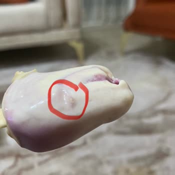 Aldığım Dondurmanın İçinden Kıl Çıktı, Hijyen Konusunda Mağdur Oldum