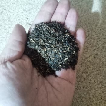 Efor Harman Çay Paketin İçinden Sürekli Sap Çıktı