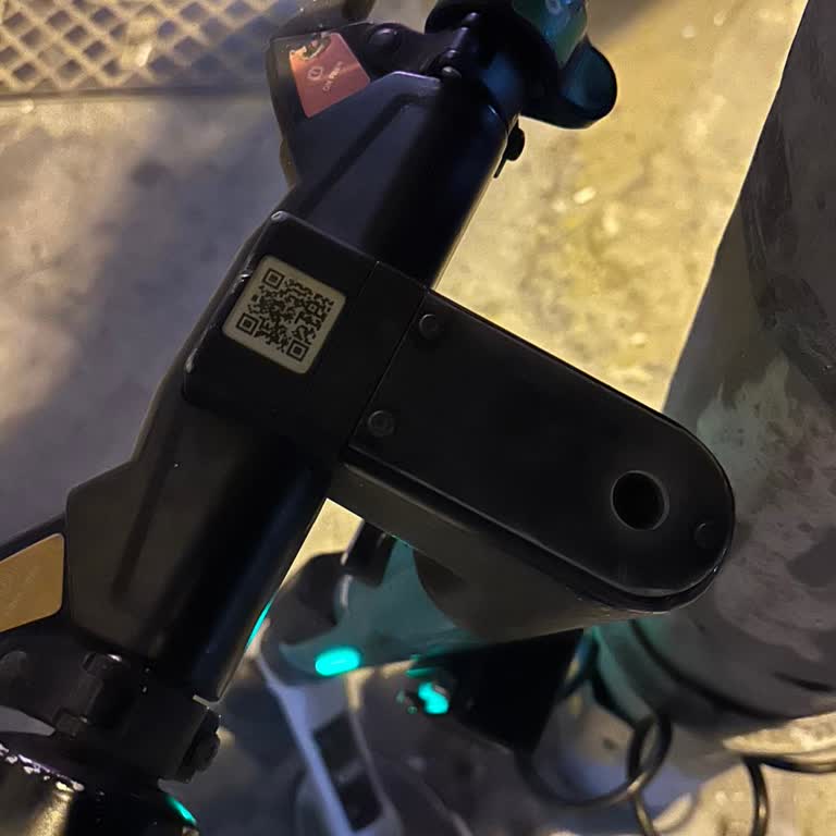 Martı Uygulamasında Yolculuk Sırasında Yaşanan Mağduriyet Ve Destek Eksikliği