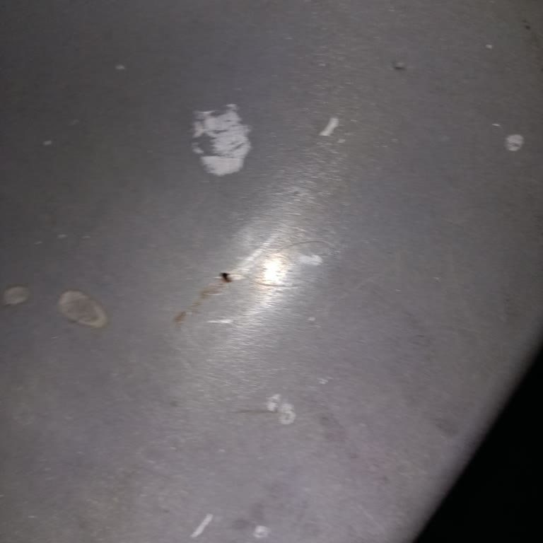 Gemide Tahta Kurusu Sorunu Ve İade Talebi