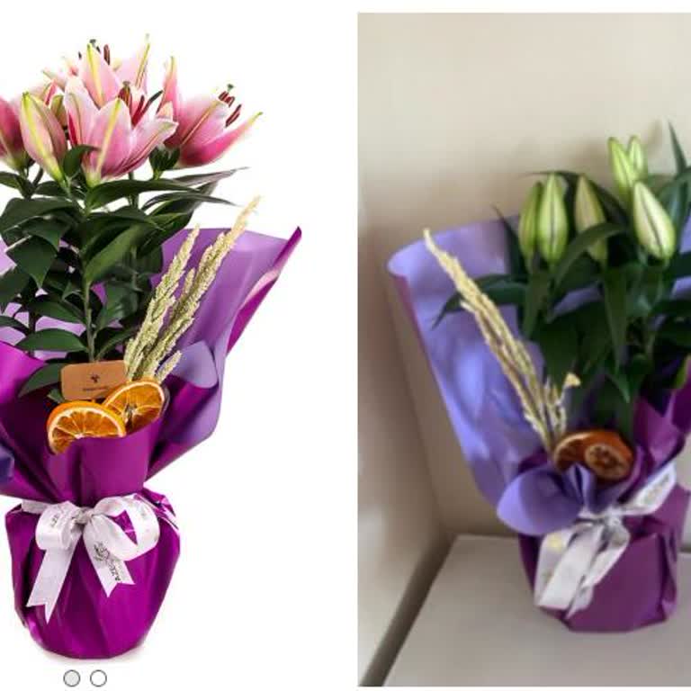 Görseldekiyle Alakasız Ve Açmamış Çiçek Teslimatı Hayal Kırıklığı Yarattı