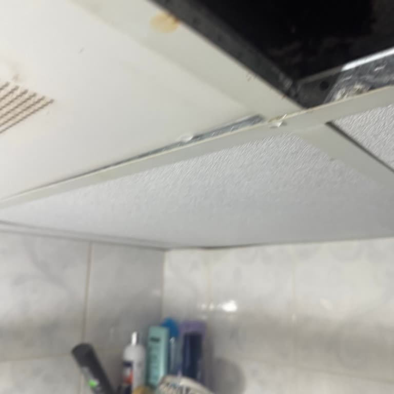 Eureko Sigorta'nın Su Sızıntısı Sorununa Yetersiz Ve İlgisiz Yaklaşımı