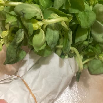 Çürük Ürünler Teslim Edildi, İade Talebim Reddedildi