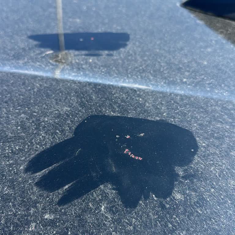 Opel Astra GS Tavan Boyası Sorunu Ve Yetersiz Değer Kaybı Teklifi Mağduriyeti