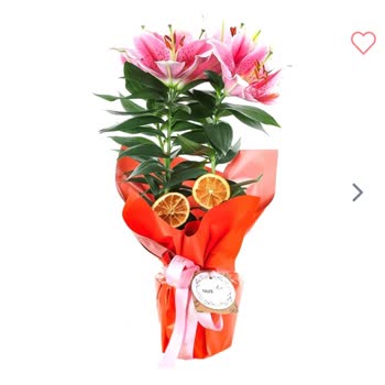 Onaylanmayan Çiçeğin Gönderilmesi Mağduriyet Yarattı