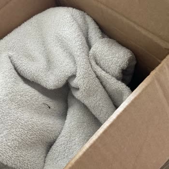 Viomi A9 Staubsauger vom Service unbearbeitet und beschädigt zurückgesendet