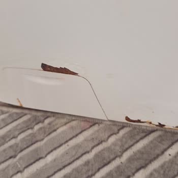 Hoover Çamaşır Makinesi Kapısı Garanti Süresi Dolmadan Paslandı Ve Koptu