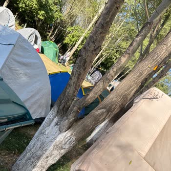 Bienya Van Gevaş Camping’de Temizlik, Güvenlik Ve Hizmet Eksikliği Mağduriyeti