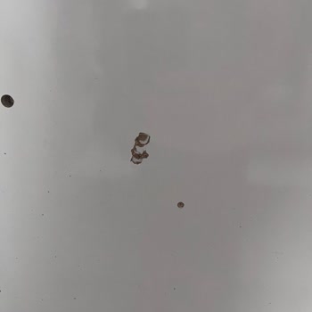 Deformeli Ürün Ve Yetersiz Müşteri Hizmetleriyle Yaşadığım Mağduriyet