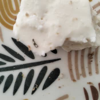 Ünal Peynircilik Yabancı Madde Buldum Çocuklarım İçin Endişelendim!