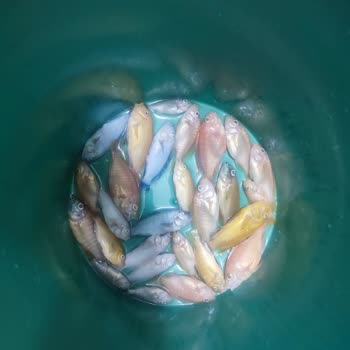 Uzayan Elektrik Kesintisi Nedeniyle Maddi Zarar Ve Tekrarlayan Mağduriyet