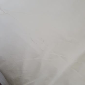 Booking.com Refused Refund for 3 Nights at Candy Cafe Apartments London