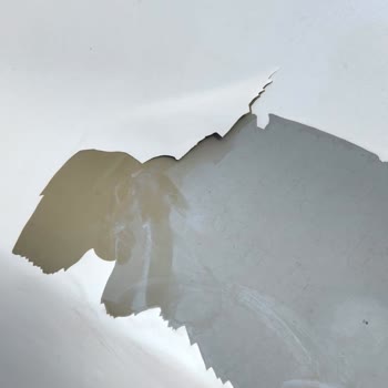 Nissan Araçlarda Kronik Boya Atma Sorunu Ve Çözüm Talebi