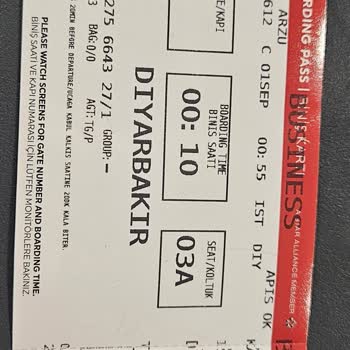 THY Uçuşunda Kimlik Krizi Ve Bagaj Mağduriyeti: Maddi Ve Manevi Zarar