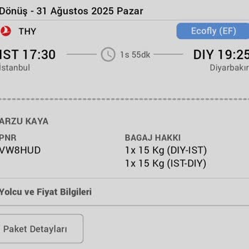 THY Uçuşunda Kimlik Krizi Ve Bagaj Mağduriyeti: Maddi Ve Manevi Zarar