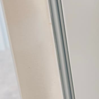 Bosch Inox Buzdolabı Kapağında Beklenmeyen Paslanma Sorunu!