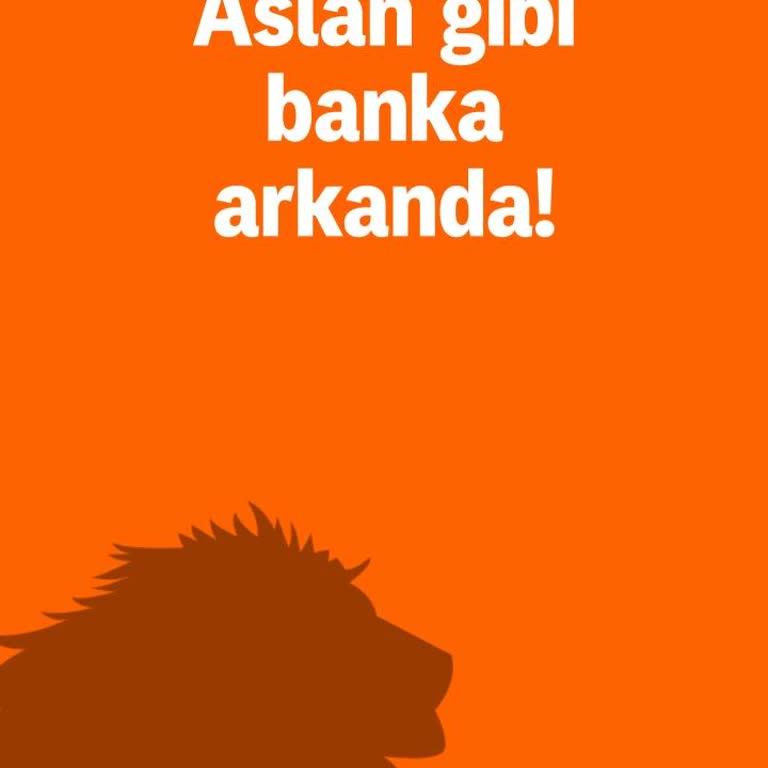 ING Mobil Uygulamasında Başvuru Sırasında Sürekli Sistemden Atılma Sorunu
