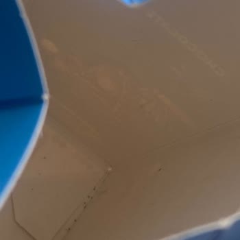 Godiva Çikolataların Kurtlu Çıkması Ve Yetersiz Müşteri Hizmetleri