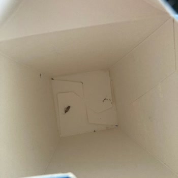 Godiva Çikolataların Kurtlu Çıkması Ve Yetersiz Müşteri Hizmetleri