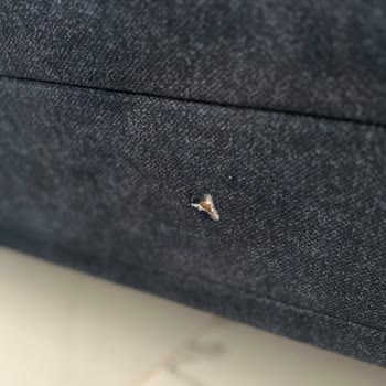 Kullanılmamış Koltukta Yırtık Ve Garanti Sorunu: Ücretsiz Onarım Talebi