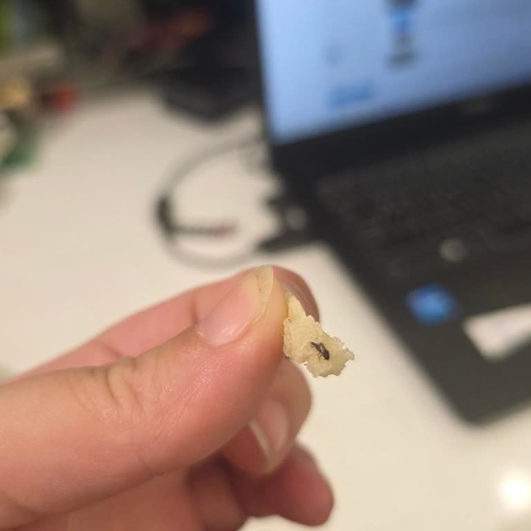 Salad Exclusive Acıbadem Şubesinden Verilen Siparişte Ekmekten Yabancı Madde Çıktı