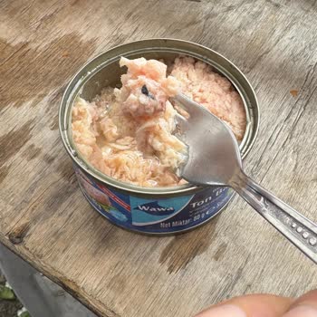 Ton Balığından Çıkan Siyah İp Hijyen Endişesi Yarattı