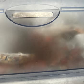 Uğur Soğutma Üst Çekmecemde Yoğun Buzlanma Sorunu Yaşıyorum