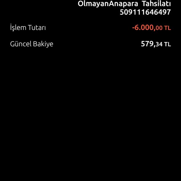 İşsizlik Sonrası Gönderilen Paraya Haksız Banka Tahsilatı Mağduriyeti