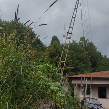 Devrilmek Üzere Olan Sokak Lambası Güvenliğimizi Tehdit Ediyor