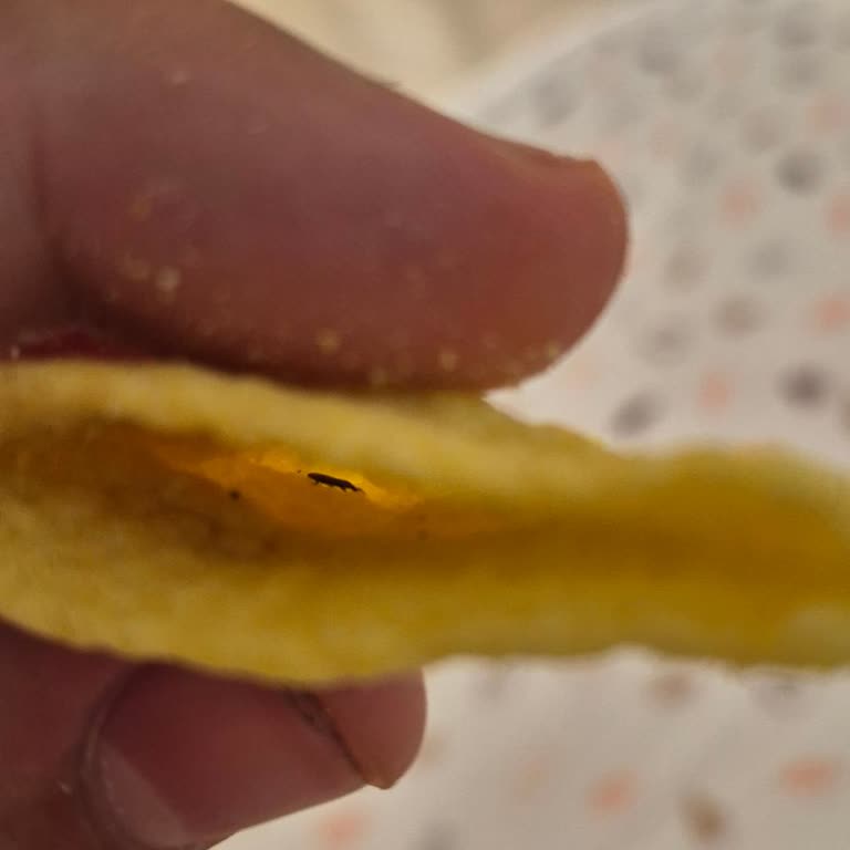 Aldığım Cipsin İçinden Böcek Çıktı, Para İadesi Ve Denetim Talep Ediyorum