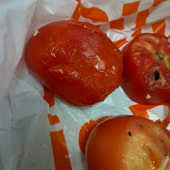 Çürük Domates Teslimatı Ve Migros’tan Geri Dönüş Alamama