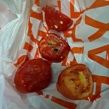 Çürük Domates Teslimatı Ve Migros’tan Geri Dönüş Alamama