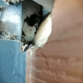 Klima Montajında Oluşan Su Hasarı Ve Mağduriyet